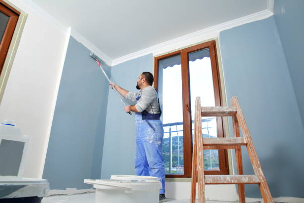 Best Drywall Sanding and Smoothing  in Blountville, TN