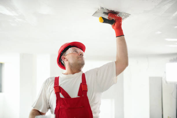 Best Drywall Crack Repair  in Blountville, TN